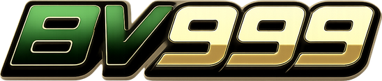 bv999 Logo